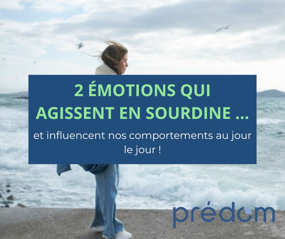 les emotions voues par predom la senibilite et la crainte